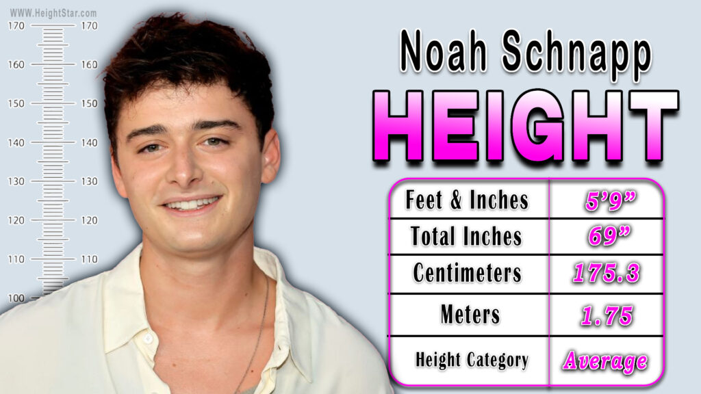 Noah Schnapp Height – How Tall Is He?