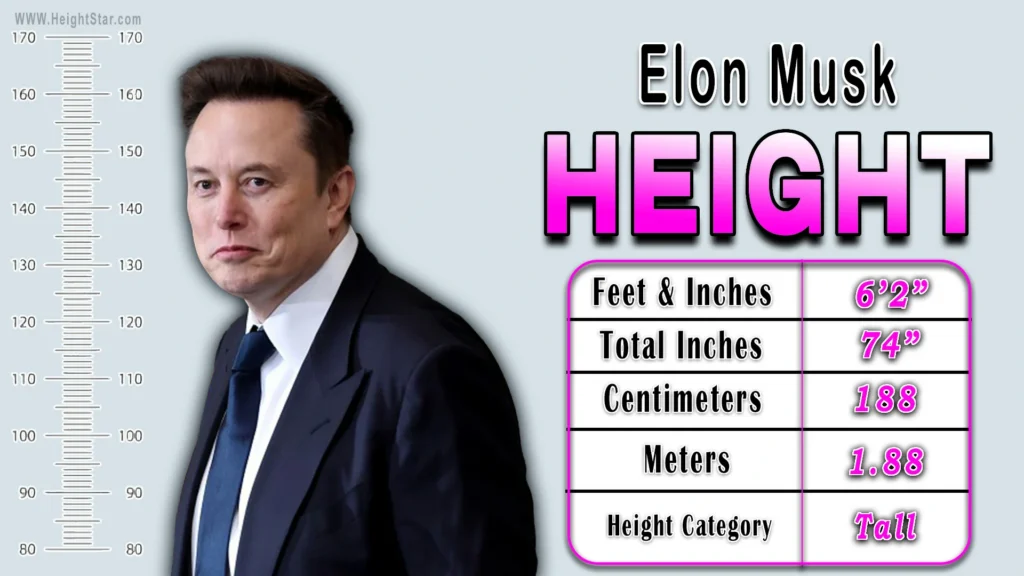 How Tall Is Elon Musk?