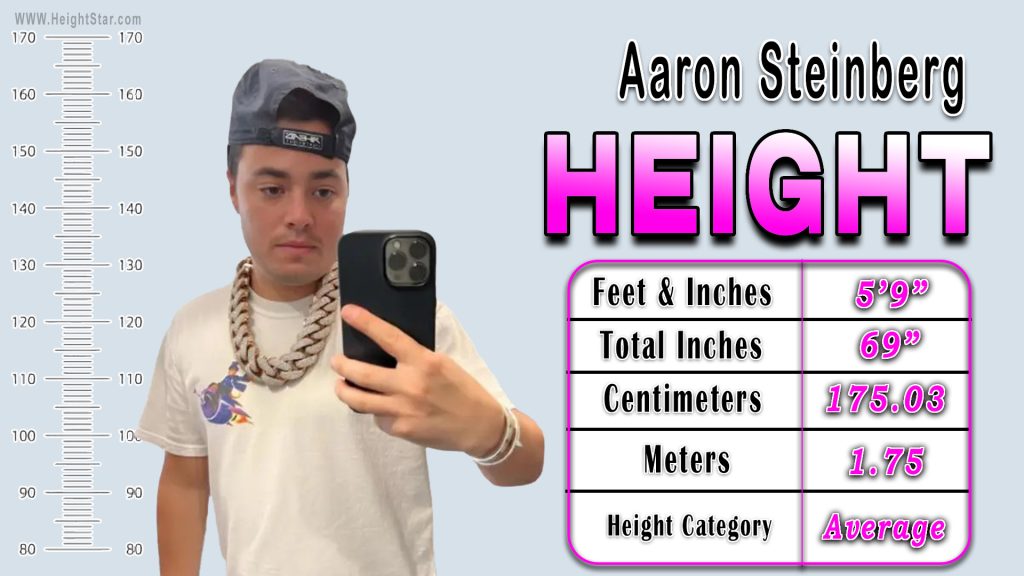 How Tall Is Aaron Steinberg