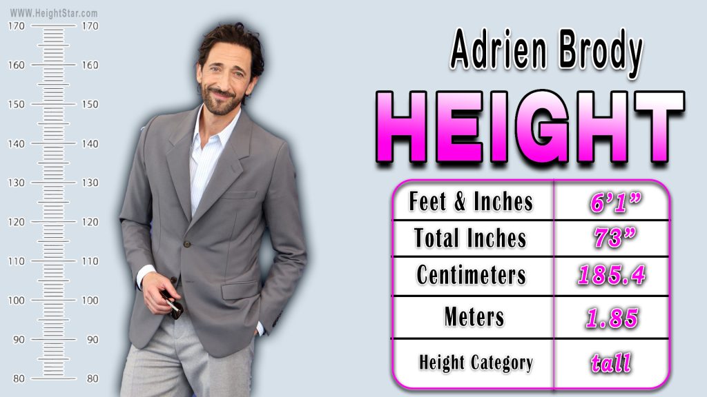 How Tall Is Adrien Brody