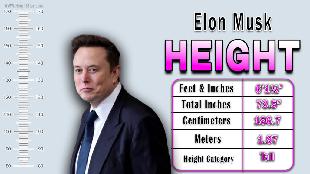 How Tall Is Elon Musk?